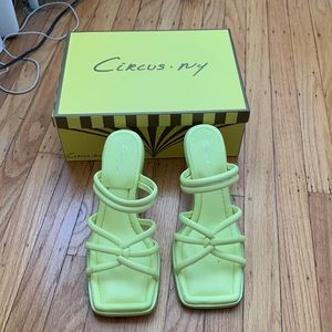 Circus by Sam Edelman savanna shoe in citric acid